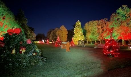 Illuminations des jardins du château