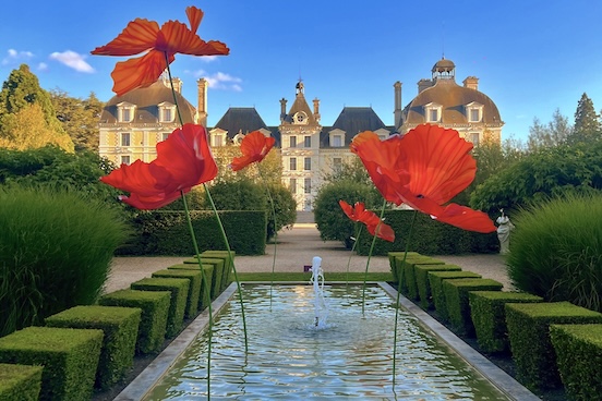 Le jardin des apprentis et ses coquelicots au château de Cheverny