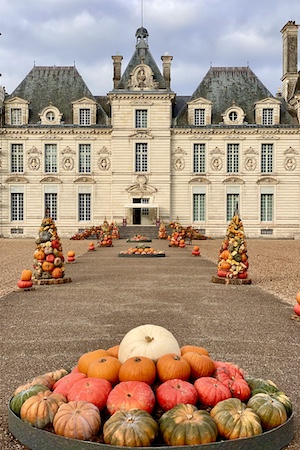 Potirons devant le château de Cheverny pour l'automne