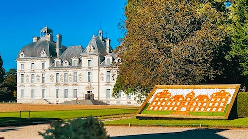 Tableau en mini-potirons au château de Cheverny