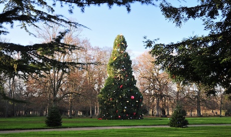 Boules de Noël dans les jardins du château