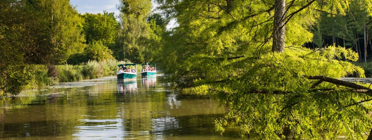 bateaux electriques parc cheverny