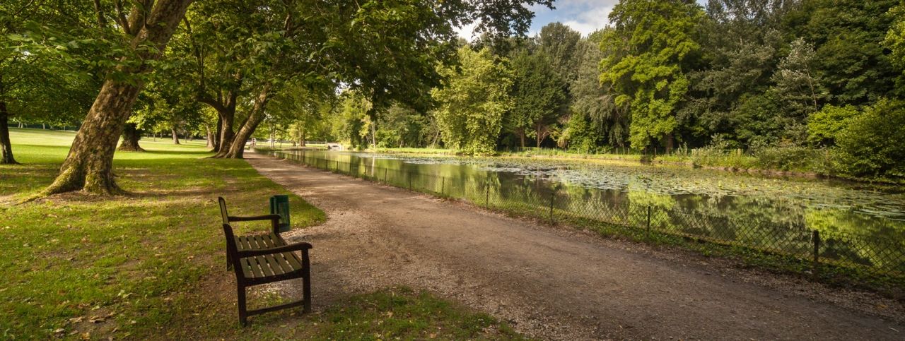 Allée des 157 cèdres de l'Atlas et du Liban du parc du château de Cheverny