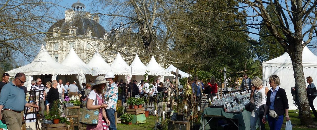 Plant Festival: 16 and 17 March 2024