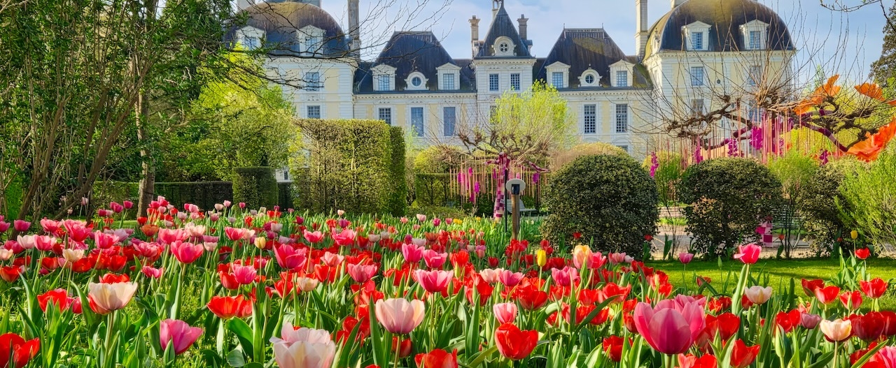 Avril à Cheverny : tulipes et décorations !