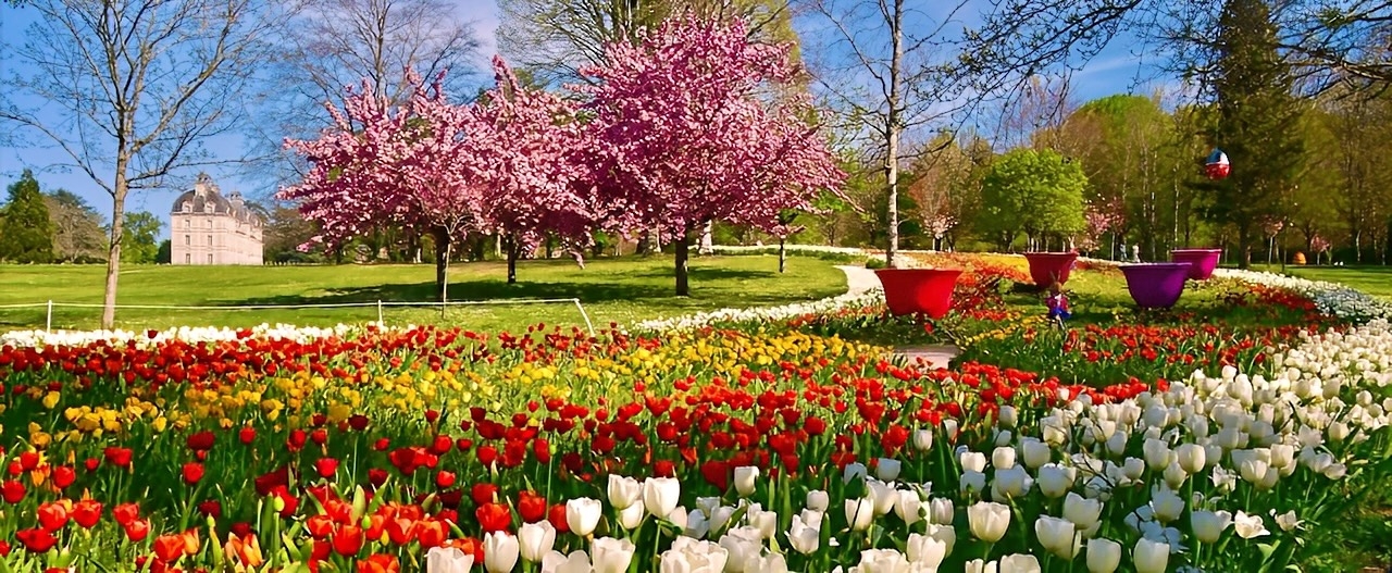 Avril : un double ruban de 500.000 tulipes !