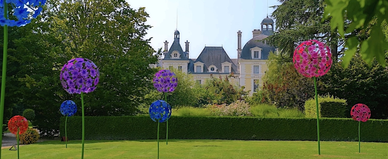 Les alliums géants